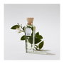 Adolfo Dominguez AGUA FRESCA DE AZAHAR Eau de Toilette 200 ml