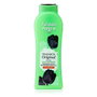 Tulipán Negro Original Gel Douche Déodorant 650 ml