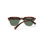 Hawkers NO LIMIT Lunettes de soleil polarisées Carey Alligator Marron Noir UV400 Verres Vert Alligator