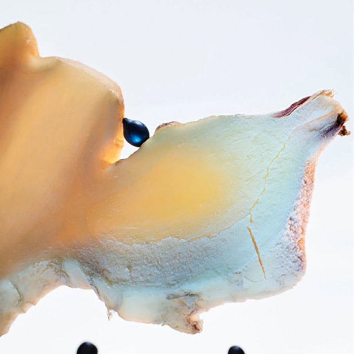 Bvlgari MAN GLACIAL ESSENCE Eau de Parfum pour Homme - Notes Boisées et Fougère - 60 ml Bvlgari MAN GLACIAL ESSENCE Eau de Parfum pour Homme - Notes Boisées et Fougère - 60 ml