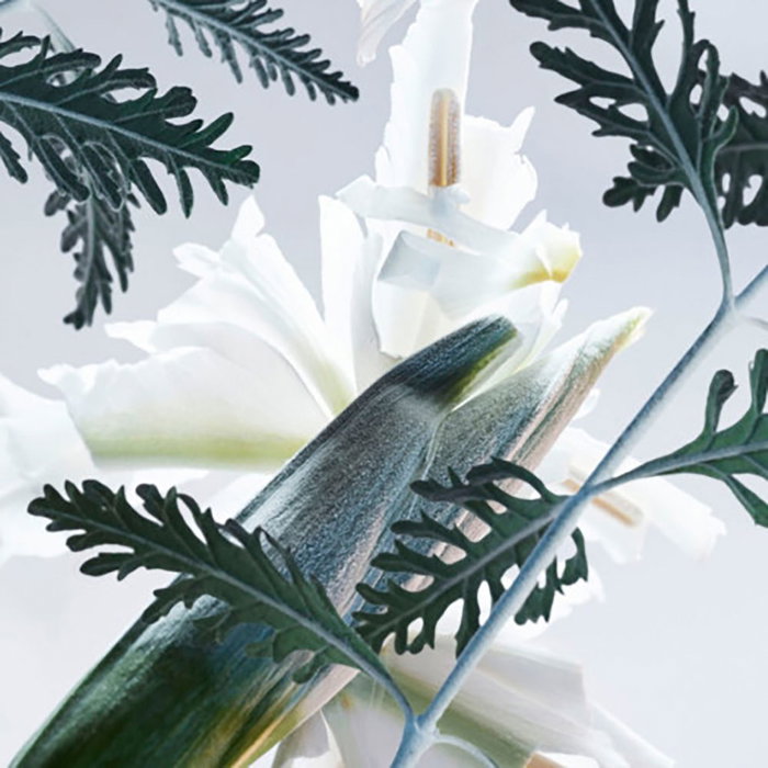 Bvlgari MAN GLACIAL ESSENCE Eau de Parfum pour Homme - Notes Boisées et Fougère - 60 ml Bvlgari MAN GLACIAL ESSENCE Eau de Parfum pour Homme - Notes Boisées et Fougère - 60 ml