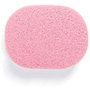 Suavinex Éponge anglaise pré-humidifiée