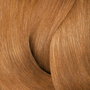 Redken SHADES EQ #08WG Golden Apricot Couleur Capillaire Semi-Permanente 60 ml x 3