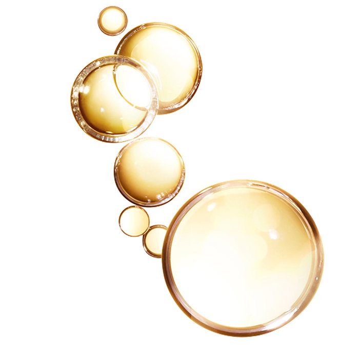 L'Oréal Paris ELVIVE Huile de Coco Extraordinaire pour Cheveux Normaux à Secs 100 ml