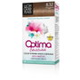 Llongueras OPTIMA Teinture Capillaire 8.32-light blond natural