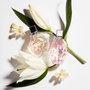 Jimmy Choo Eau de Toilette 40 ml