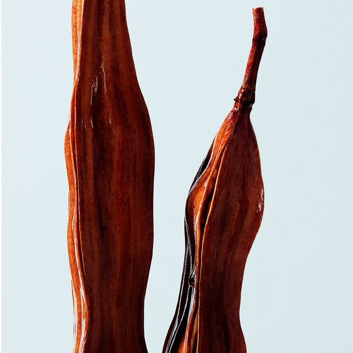 Shu Uemura Conditionneur Hydro-Nourrissant URBAN MOISTURE pour Cheveux Secs 250 ml