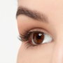Ardell Faux Cils ACCENT #301 Noir 1 Unité