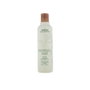 Aveda ROSEMARY MINT Purifying Shampoo 250 ml