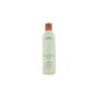 Aveda ROSEMARY MINT Purifying Shampoo 250 ml