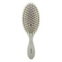 Beter Brosse Pneumatique Pointes Fibre Naturelle Bois Beige
