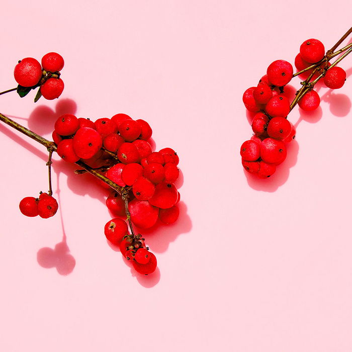 Jowae Crème Riche Anti-Rides Lissante 40 ml Femme aux Lumiphénols, Ginseng Rouge et Acide Hyaluronique