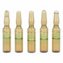 Endocare Tensage Ampoules 10 x 2 ml