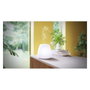 Pranarôm Joy Diffuseur d'Huiles Essentielles Ultrasonique LED