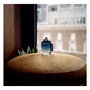 Coach Eau de Toilette Vaporisateur Blue 100 ml Homme