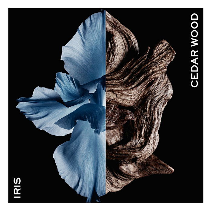 Givenchy Gentleman Eau de Toilette Intense Vaporisateur 60 ml Givenchy Gentleman Eau de Toilette Intense Vaporisateur 60 ml