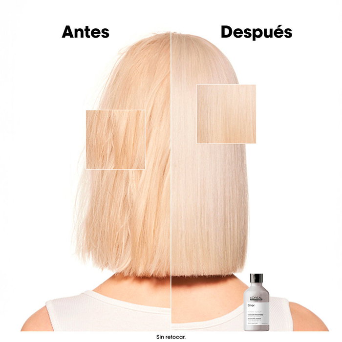L'Oréal Professionnel Paris Shampoing Argent 300 ml Anti-Reflets Jaunes Cheveux Gris Blancs
