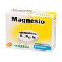Vallesol Magnésium et Vitamines B1, B2, B6 Effervescent 24 comprimés