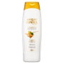 Instituto Español Shampooing Réparateur Argan et Kératine 750 ml