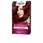 Schwarzkopf Palette Intensive 6.88-rouge rubis en crème, 1 unité