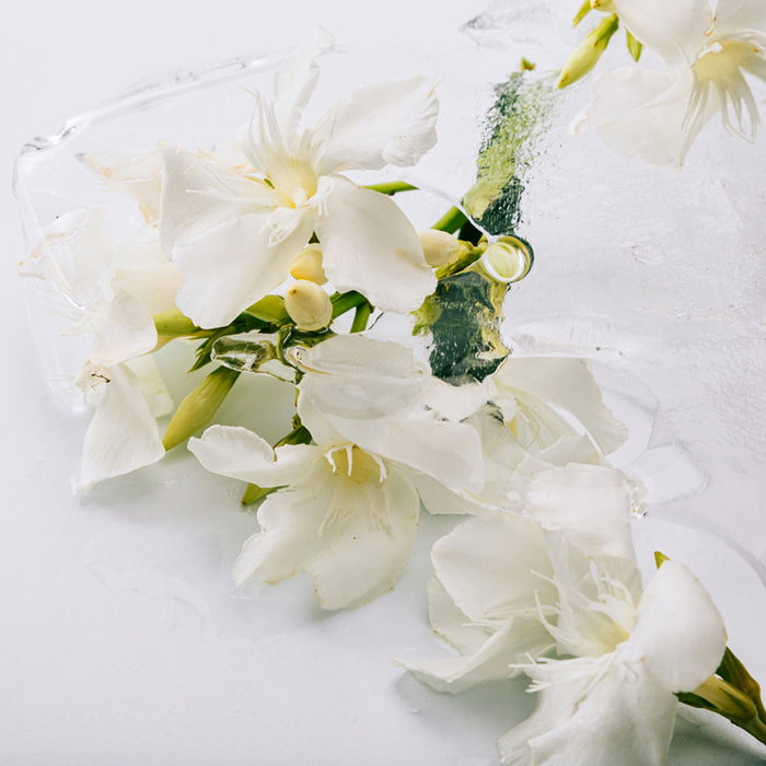 Loewe Solo Atlas Eau de Parfum Vaporisateur Homme 100 ml Loewe Solo Atlas Eau de Parfum Vaporisateur Homme 100 ml