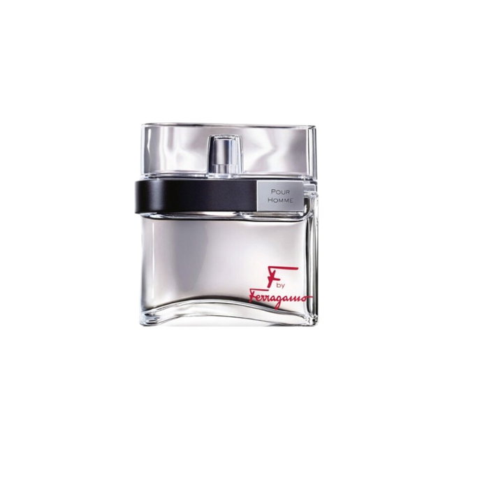 Salvatore Ferragamo F By Ferragamo Pour Homme Eau de Toilette 100 ml