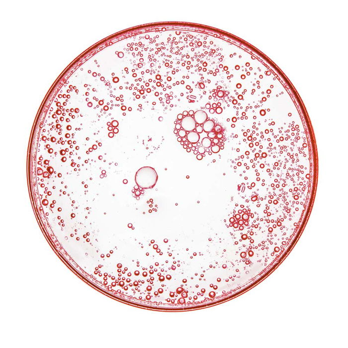 L'Oréal Paris Revitalift Laser X3 Sérum Anti-âge 30 ml Soin Multi-actions Réduction Rides & Pores Uniformisation Teint L'Oréal Paris Revitalift Laser X3 Sérum Anti-âge 30 ml Soin Multi-actions Réduction Rides & Pores Uniformisation Teint