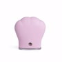 Idc Institute Brosse Nettoyante SKIN Patte de Chat Électrique USB 1 u