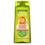 Garnier Fructis Vitamin Force Shampoing 360 ml