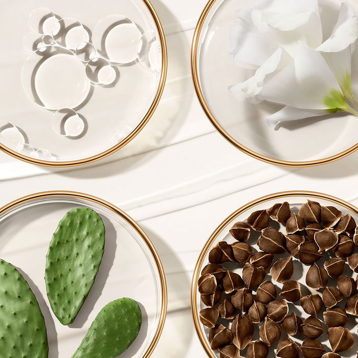 Estée Lauder REVITALIZING SUPREME + Baume Yeux Jeunesse 15 ml Estée Lauder REVITALIZING SUPREME + Baume Yeux Jeunesse 15 ml