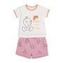 Ensemble de Vêtements Looney Tunes Rose 12 mois