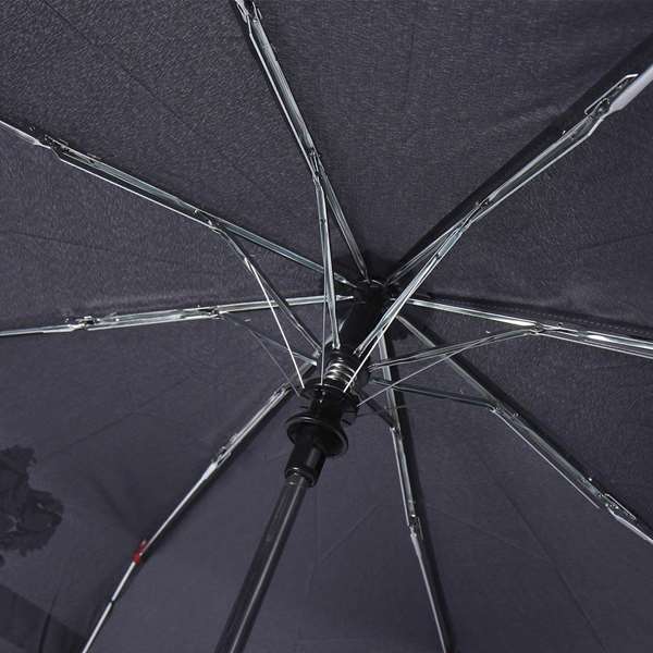 Cerdá T53C - Parapluie automatique changeant de couleur Harry Potter - 53 cm - Noir