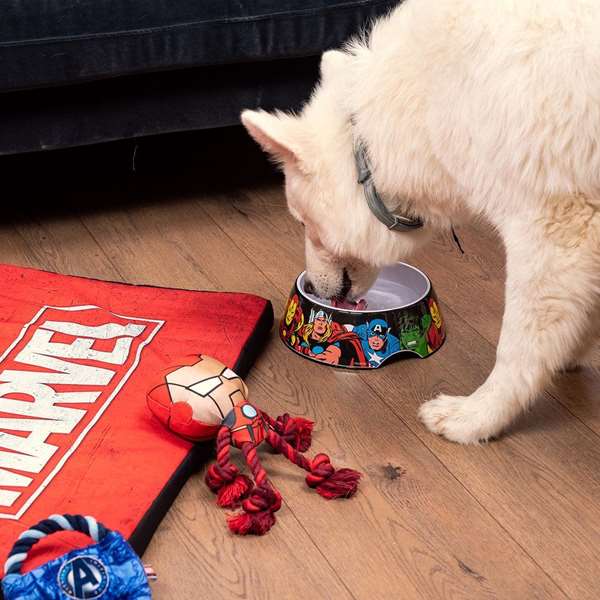 Marvel M T3M:M Gamelle pour Chien de taille M - Cerdá - Rouge Marvel M T3M:M Gamelle pour Chien de taille M - Cerdá - Rouge