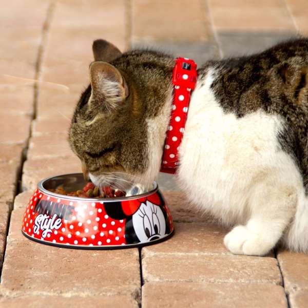 Cerdá Mangeoire pour chien Minnie T4L:L - Taille L - Multicouleur - Pour chiot