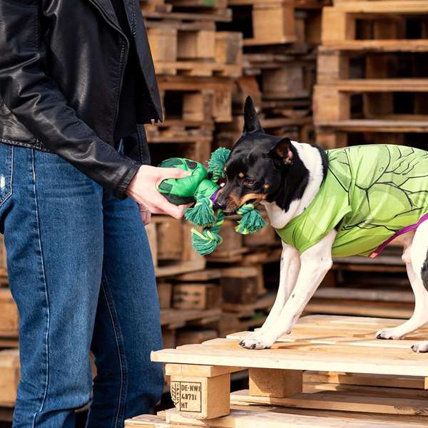 Cerdá Corde dentaire pour chien Avengers Hulk, jouet à mâcher vert, 8.0 x 13.0 x 26.0 cm
