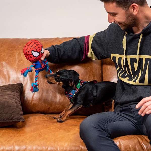 Cerdá Corde dentaire pour chien Spider-Man 8 x 13 x 26 cm, rouge