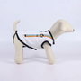 Disney T-shirt pour Chien Disney Pride Blanc M
