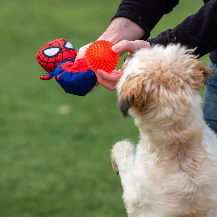 Jouet pour chien en peluche Spider-Man Rouge 11,0 x 18,0 x 10,0 cm