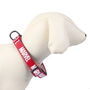 Collier pour Chien Marvel Rouge