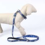 Cerdá Collar premium pour chien, motif Stitch, taille XS/S, bleu marine
