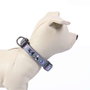 Disney Villanas T2XS Collar Premium pour Chiens - Taille XS/S, Couleur Gris