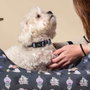 Disney Villanas T2XS Collar Premium pour Chiens - Taille XS/S, Couleur Gris