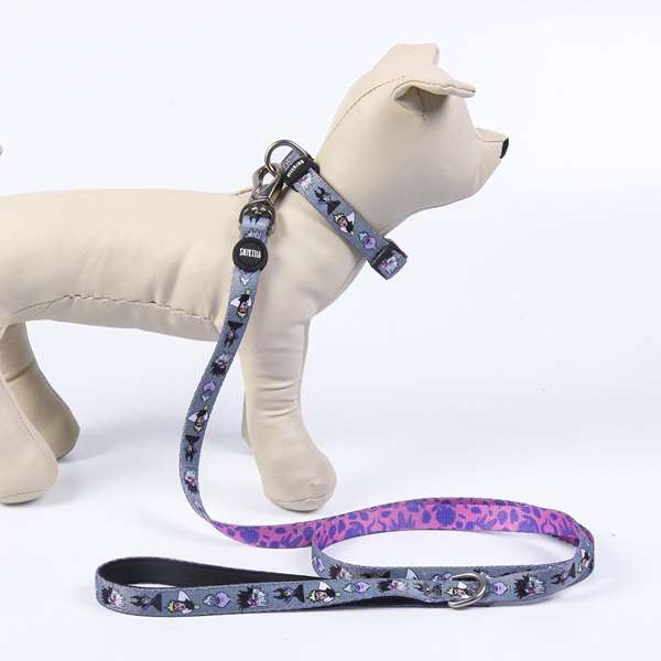 Disney Villanas T2XS Collar Premium pour Chiens - Taille XS/S, Couleur Gris
