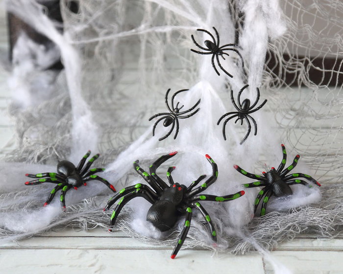 Kit de décoration Halloween avec toile d'araignée et araignées pour créer une ambiance fantasmagorique