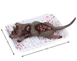 Décoration d'Halloween - Rat Mort sur Plateau - Figurine Accessoire en Plastique et Polyester Gris pour Fête