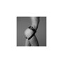 Harnais New Comers Strap-on-me Curious Noir