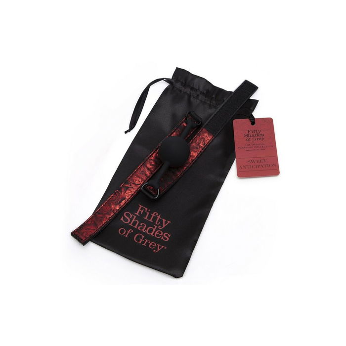 Bâillon Fifty Shades of Grey Sweet Anticipation