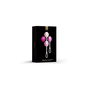 Kit de Poids Vaginaux Kegel Gvibe Geisha Mini Fuchsia