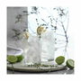 Inde Set de Verres Bodega 515 ml
