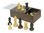Cayro - Jeu d'échecs complet avec pièces et boîte de rangement en plastique (19 x 10 x 6 cm)